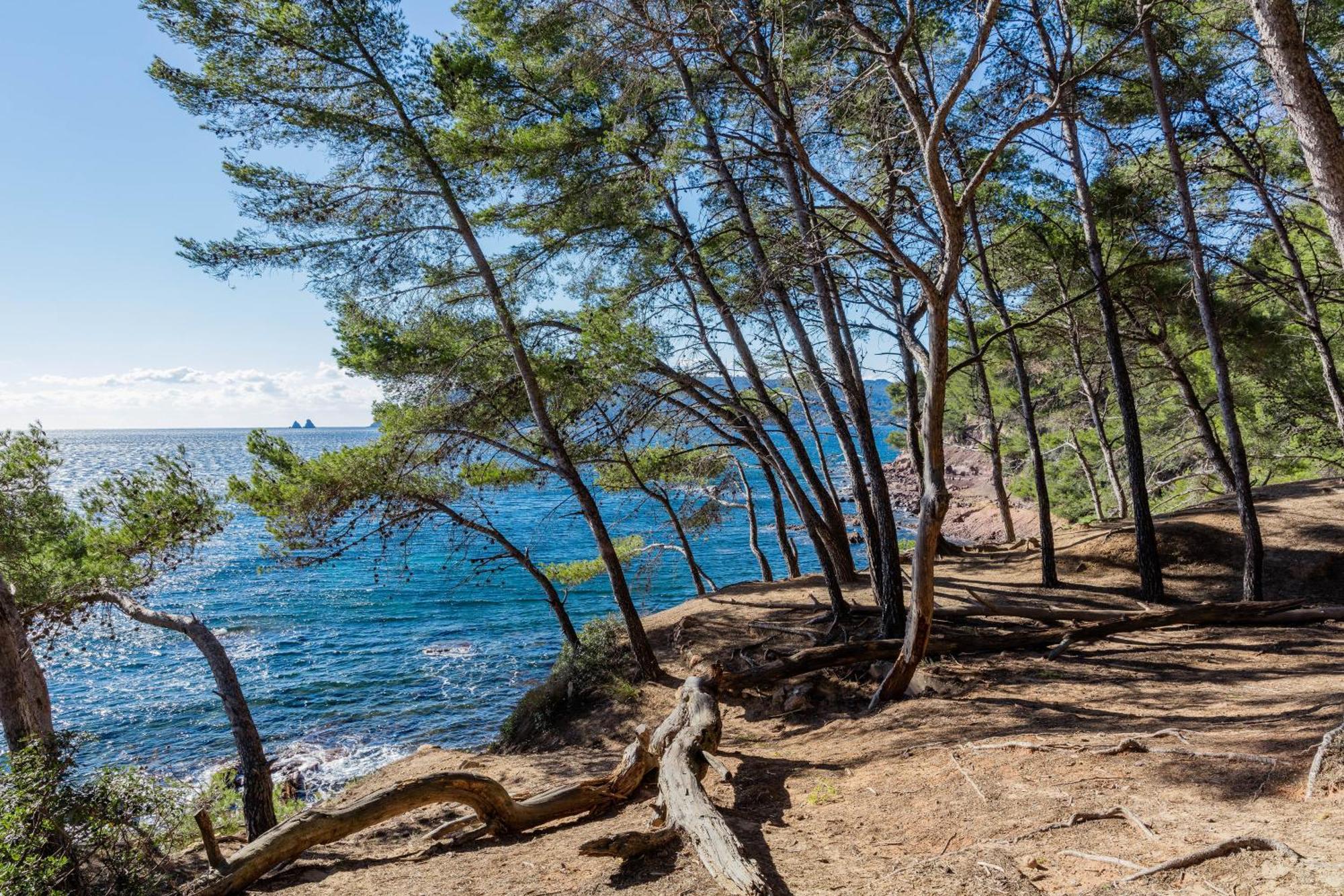 Superbe Studio Avec Terrasse Proximite Plage Saint-Mandrier-sur-Mer Esterno foto